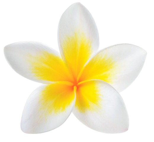 Frangipani flower, the MaJicGrowth emblem